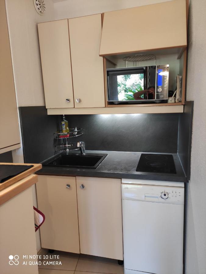 Les Palmiers Appartement